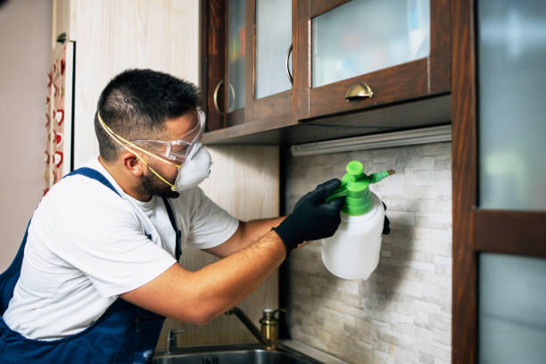Best Mosquito Control Services  in Socastee, SC