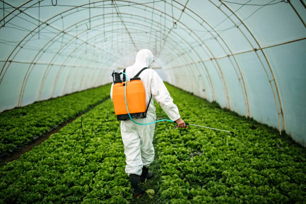 Best Commercial Pest Control Services  in Socastee, SC