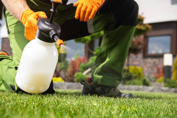 Pest Control Cost in Socastee, SC