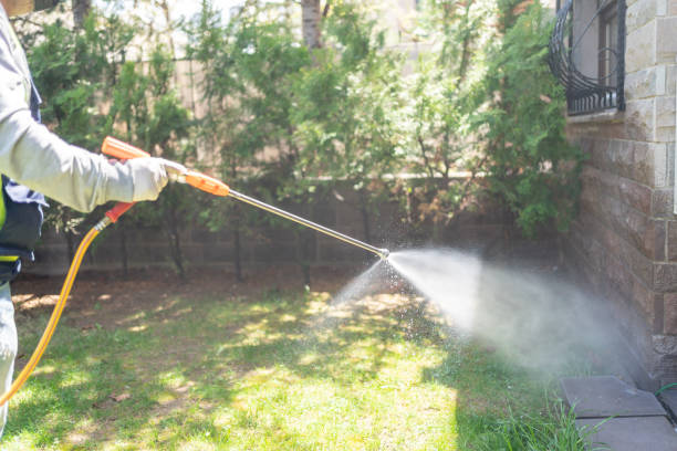 Best Local Pest Control Services  in Socastee, SC