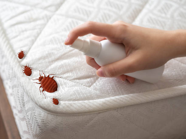 Best Residential Pest Control  in Socastee, SC