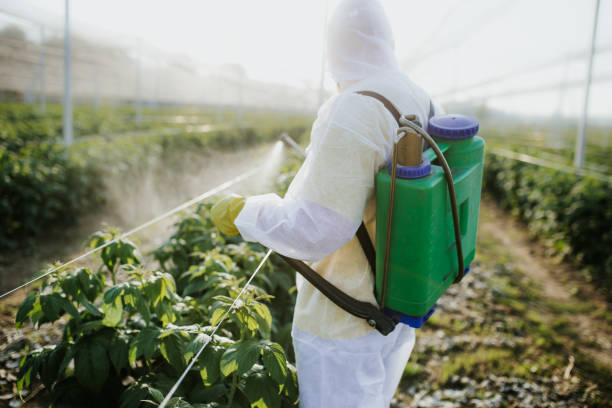 Socastee, SC Pest Control Company